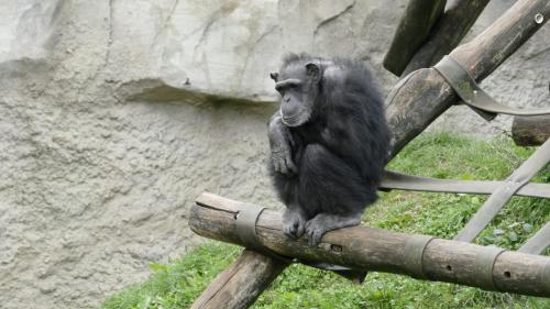 20220917_Walter_Zoo_Gossau_1070083