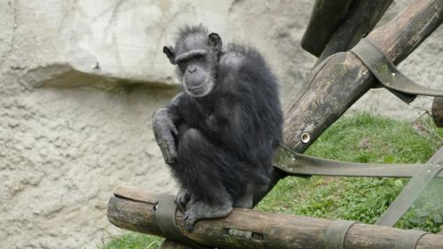 20220917_Walter_Zoo_Gossau_1070093