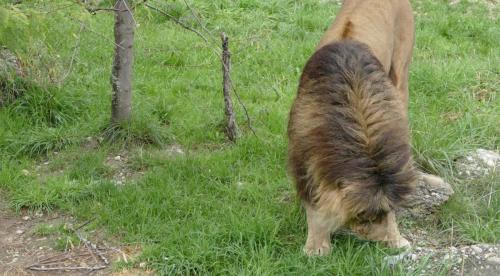 20220917_Walter_Zoo_Gossau_1070101_b